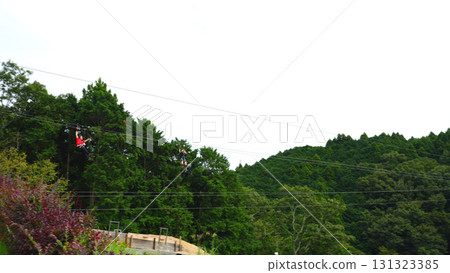 滑索（三島天空步道） 131323385