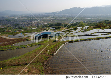 棚田、小舍田 / 春天晴朗的天空下，剛剛插上水稻的梯田景色 131323389