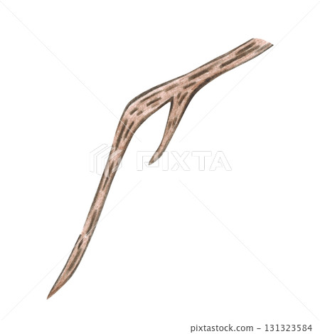 A tree branch without leaves. Hand-drawn with colored pencils, suitable for stickers, posters, or cards. Plant, branch, brown, apple, pear, cherry 131323584