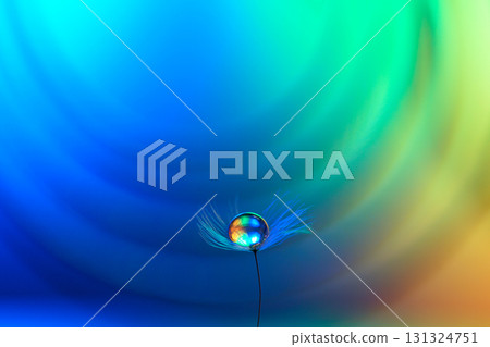A fantastic image of a colorful background and water droplets on fluff A fantastic image of a colorful background and water droplets on fluff 131324751