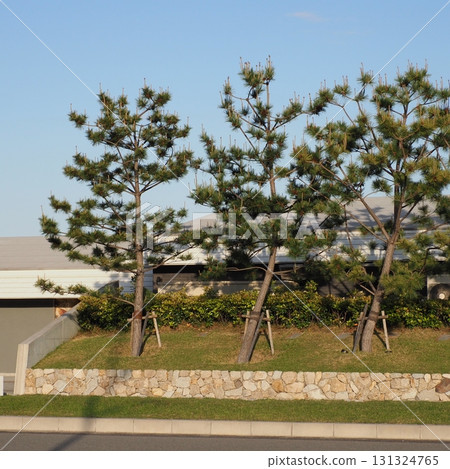淡路島 Aqua Ignis 淡路島 Aqua Ignis 131324765