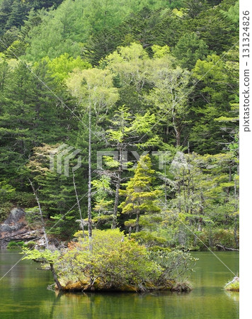 上高地明神池 二之池 131324826