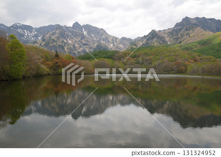 初春的戶隱。鏡池邊的樹木正在萌芽,戶隱山上的積雪正在融化。 初春的戶隱。鏡池邊的樹木正在萌芽,戶隱山上的積雪正在融化。 131324952