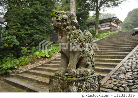 海邊的京都:山王山參拜道上長滿青苔的獅子雕像(雲形) 海邊的京都:山王山參拜道上長滿青苔的獅子雕像(雲形) 131325339