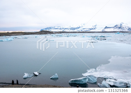 Jokulsarlon Glacier Lagoon Floating Icebergs and Snowscapes Spectacular Scenery in Iceland 131325366