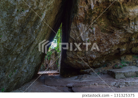 Okinawa Saiba Gyoen Sankori 131325375