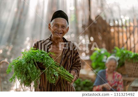 The Joyful Elderly Farmer is Holding Fresh Herbs in Gorgeous Nature Around Him Today 131325492