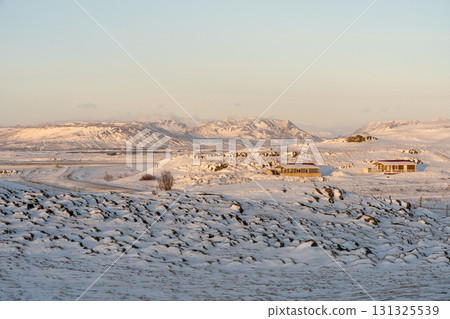 冬季冰島西部的雪景和冰島馬的美麗風景 131325539