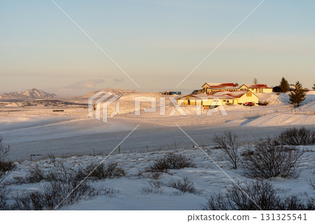 Beautiful scenery of snowy landscapes and Icelandic horses in West Iceland in winter 131325541