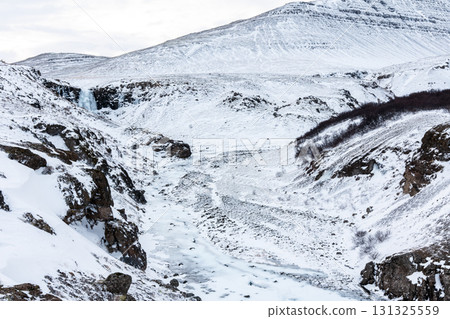 Beautiful scenery of snowy landscapes and Icelandic horses in West Iceland in winter Beautiful scenery of snowy landscapes and Icelandic horses in West Iceland in winter 131325559