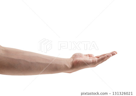 Adult man hand hold isolated on white background 131326021