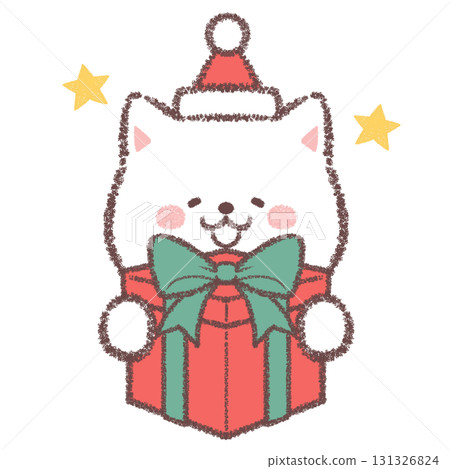 A white Shiba Inu happy to receive a Christmas present 131326824