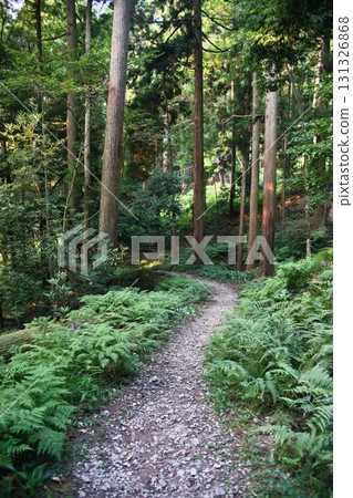 Shizugatake scenery 131326868