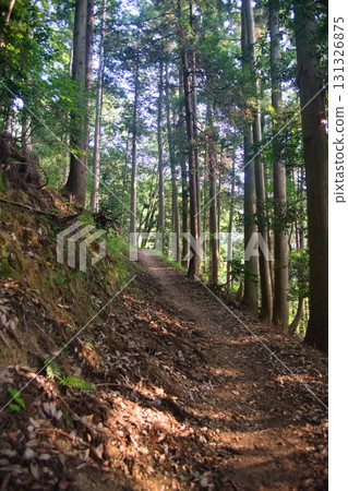 Shizugatake scenery 131326875