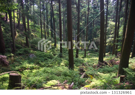 Shizugatake scenery 131326961