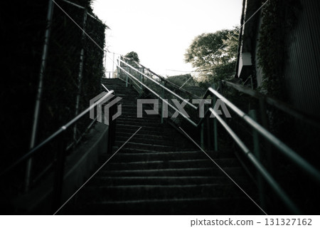 Stairs along the fence 131327162