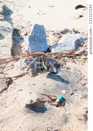 一隻藍瓶僧帽水母降落到沙灘上 131327245