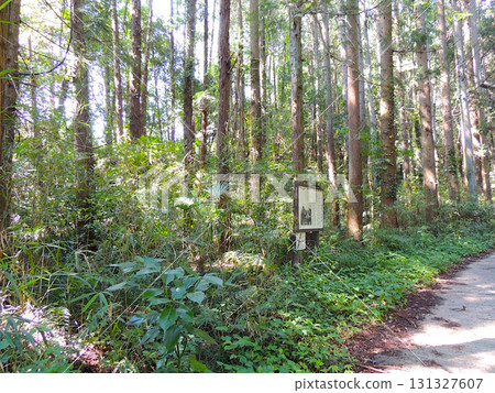 No. 22: Former site of Dojido 131327607