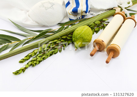 Jewish Ritual Items, Sukkot symbols including lulav, etrog, and a prayer shawl with Torah scroll. Jewish Ritual Items, Sukkot symbols including lulav, etrog, and a prayer shawl with Torah scroll. 131327620