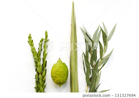 Natural Elements Arrangement. Minimalist composition of green leaves myrtle, willow and a etrog Natural Elements Arrangement. Minimalist composition of green leaves myrtle, willow and a etrog 131327694