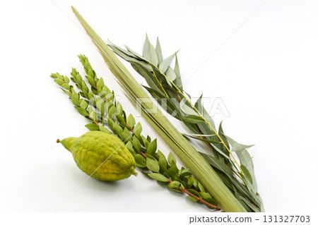 Sukkot Ritual Items. A collection of traditional Sukkot symbols including an etrog, lulav, myrtle, and willow Sukkot Ritual Items. A collection of traditional Sukkot symbols including an etrog, lulav, myrtle, and willow 131327703