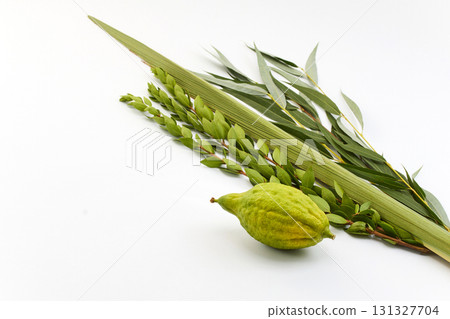 Lulav and Etrog symbolic in Sukkot celebrations. Lulav and Etrog symbolic in Sukkot celebrations. 131327704