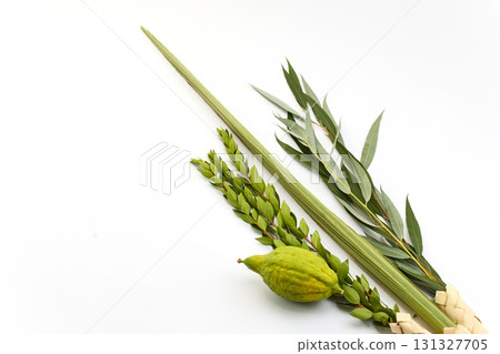 Jewish Sukkot Symbols. Traditional Sukkot symbols, including etrog and lulav Jewish Sukkot Symbols. Traditional Sukkot symbols, including etrog and lulav 131327705