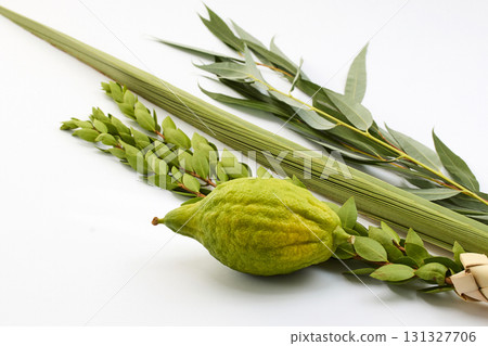 Jewish Sukkot Symbols. Traditional Sukkot symbols, including etrog and lulav 131327706
