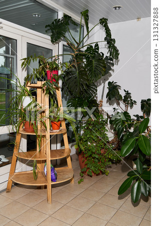 Creating a Beautiful Atmosphere by Carefully Arranging Indoor Plants for a Cozy and Inviting Space 131327888