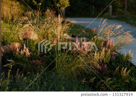A Beautiful Sunlit Garden Path Brimming with Various Wildflowers and Lush Grasses A Beautiful Sunlit Garden Path Brimming with Various Wildflowers and Lush Grasses 131327914