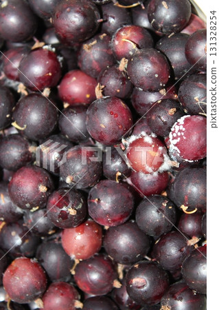 Deliciously Fresh and Juicy Collection of Organic Berries for Every Occasion and Diet 131328254