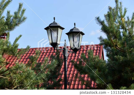Elegant and Charming Street Lamps Beautifully Surrounded by Lush Greenery and Nature Elegant and Charming Street Lamps Beautifully Surrounded by Lush Greenery and Nature 131328434