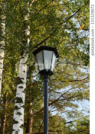 A Vintage Street Lamp Elegantly Surrounded by Beautiful Lush Greenery and Nature A Vintage Street Lamp Elegantly Surrounded by Beautiful Lush Greenery and Nature 131329072