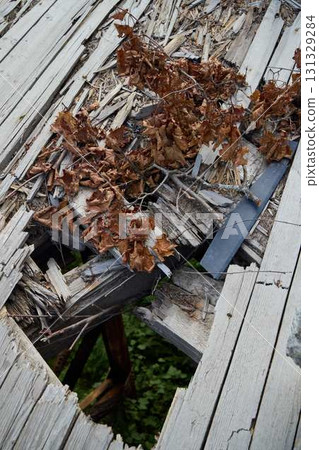 Decay An InDepth CloseUp of Weathered Wood and Fallen Leaves in Natures Embrace Decay An InDepth CloseUp of Weathered Wood and Fallen Leaves in Natures Embrace 131329284