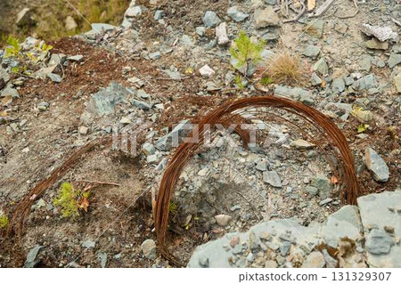 Rusty Wire Loops Set Against Rocky Ground in a Scenic Wilderness Setting with Wild Flora 131329307