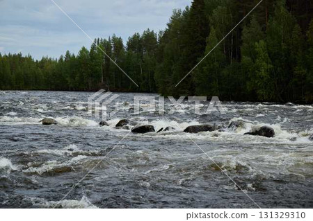 Raging River Flowing Through a Lush Green Forest An Incredible Display of Natures Power Raging River Flowing Through a Lush Green Forest An Incredible Display of Natures Power 131329310