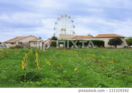 Autumn at Soleil Hill 131329392