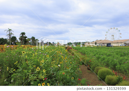 Autumn at Soleil Hill 131329399