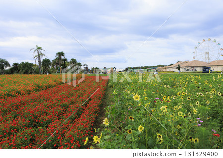 Autumn at Soleil Hill 131329400