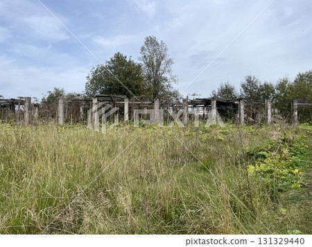 A LongAbandoned Structure Enveloped by Natures Overgrowth, TimeWorn and Embraced by It 131329440