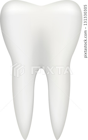 Illustration of a single, healthy molar, tooth, depicting oral health and dental care, white. 131330305