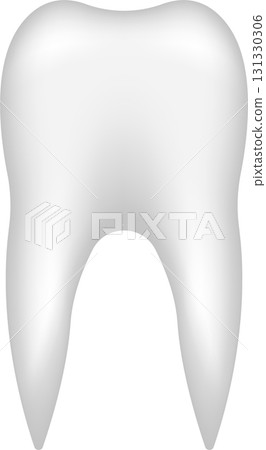 A detailed, white tooth is prominently displayed against a dark background, showing anatomy. 131330306