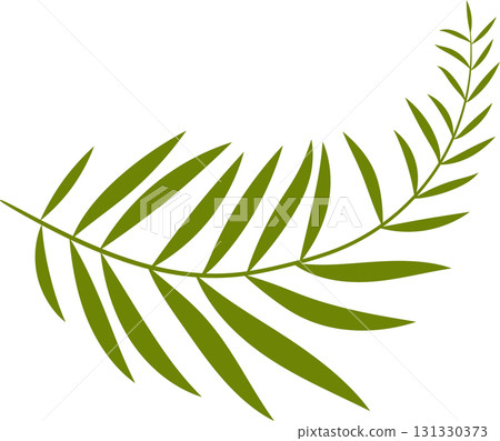 A single olive green branch of a fern with segmented leaves curves across a black background. 131330373