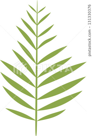 Detailed illustration of a green palm frond set against a black background, botanical vector art. 131330376
