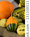 可愛的玩具南瓜 131330511