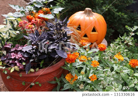 Halloween-themed plantings and pots Halloween-themed plantings and pots 131330616