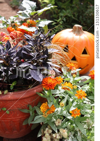 萬聖節主題的植物和花盆 萬聖節主題的植物和花盆 131330617