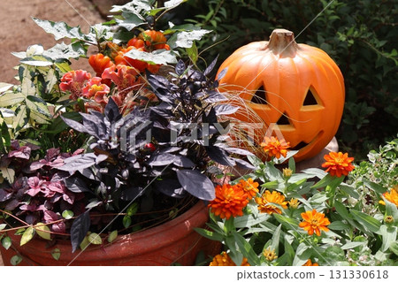Halloween-themed plantings and pots Halloween-themed plantings and pots 131330618
