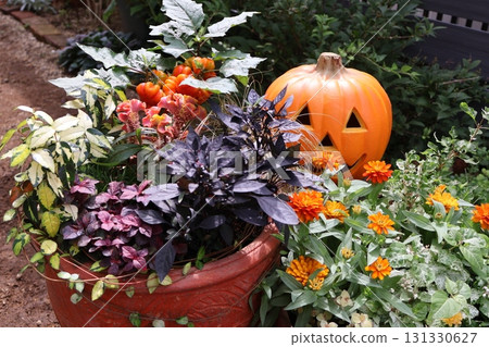 Halloween-themed plantings and pots Halloween-themed plantings and pots 131330627