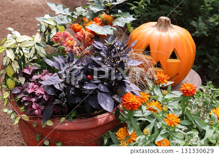 Halloween-themed plantings and pots Halloween-themed plantings and pots 131330629